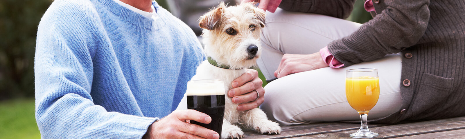 Find the perfect pub or cafes on your journey - Driving with Dogs