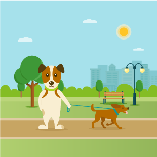 Birkenhead Park dog walks, Merseyside - Driving with Dogs