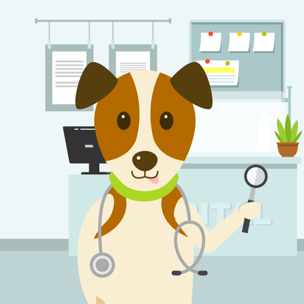 Orange Veterinary Clinic, France - Driving with Dogs