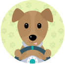 Tingleyliz - Driving with Dogs