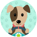 Sparkybear - Driving with Dogs