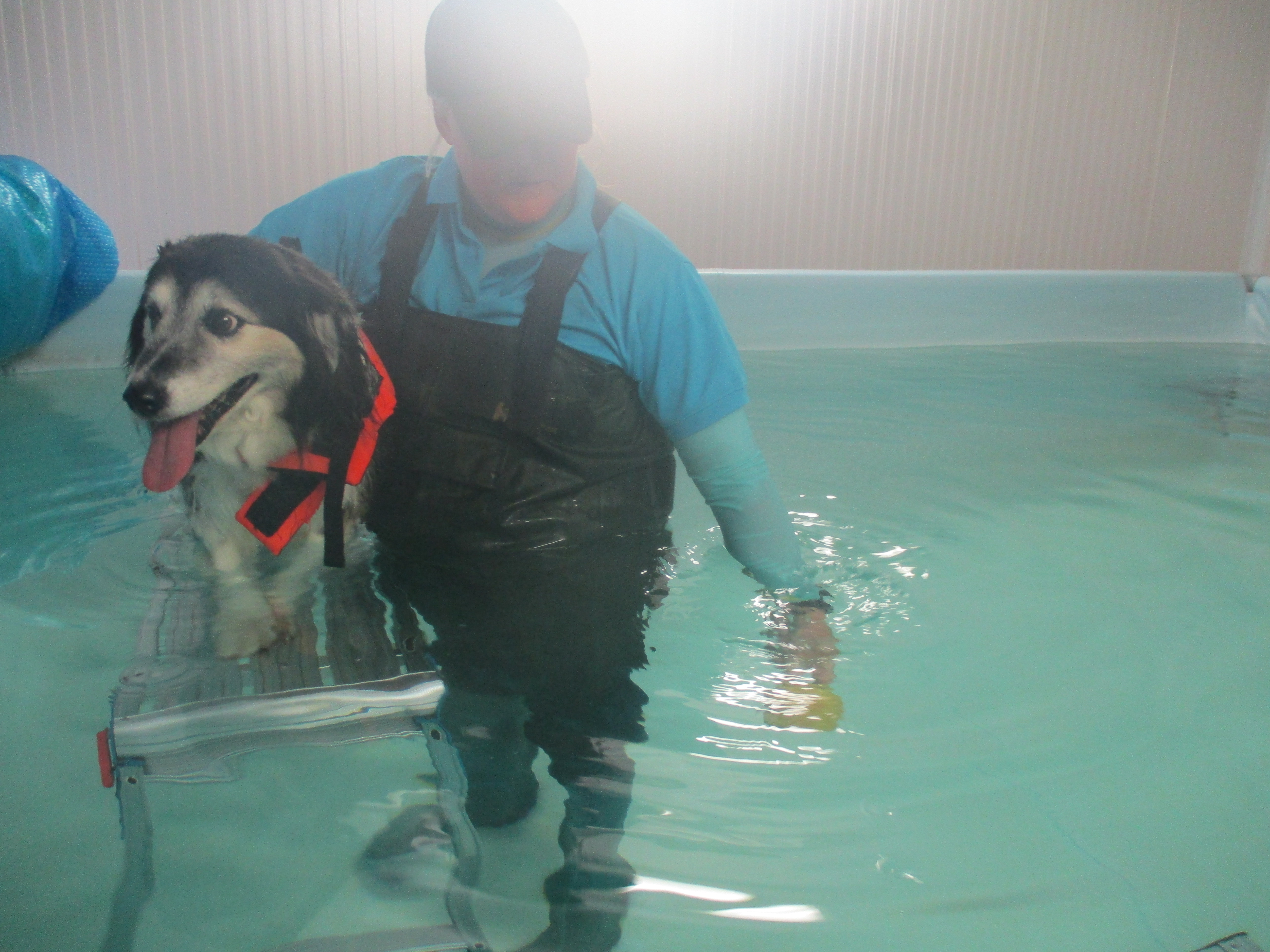 Jem enjoying a massage in the water