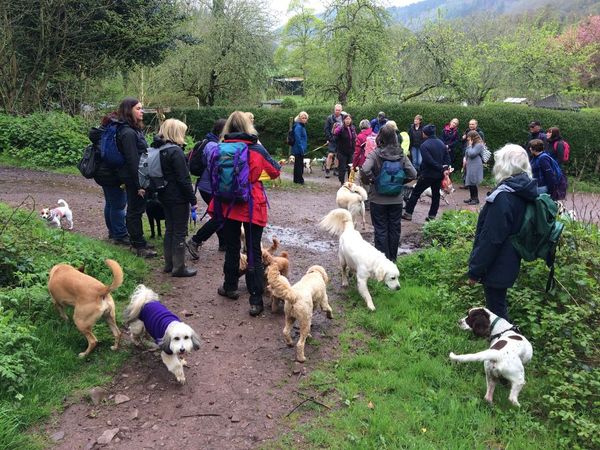 One smart dog owner uses a coat before the walk