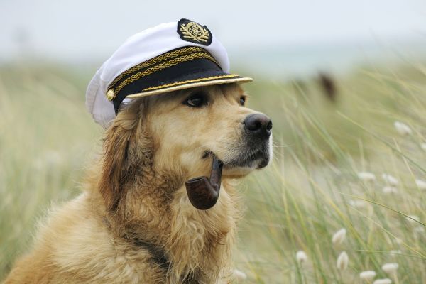 Dog the Captain
