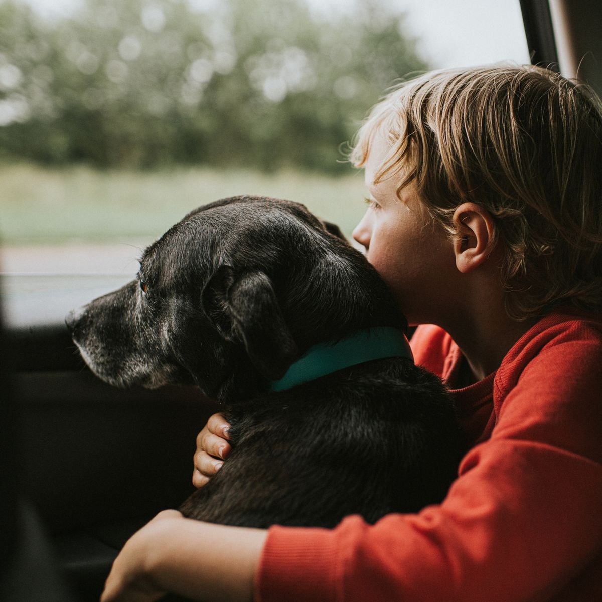 child and dog in the car
