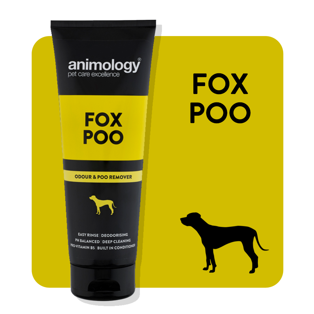 Best dog shampoo for removing fox odour